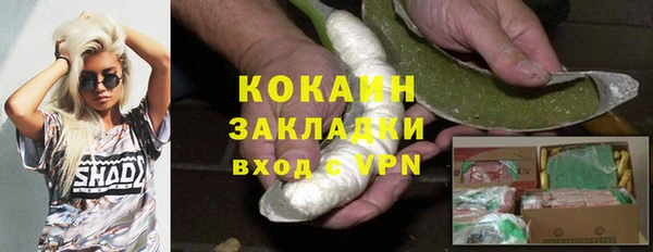 гашик Аркадак