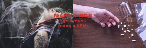 индика Армянск