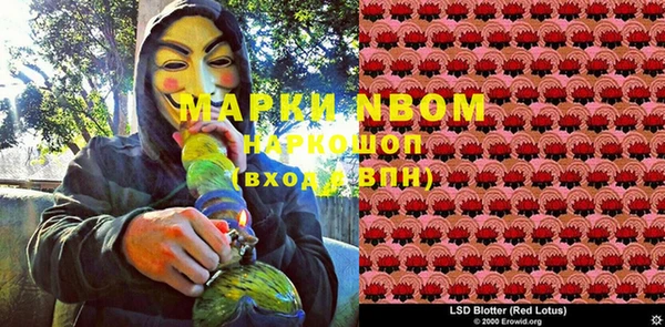 гашик Аркадак