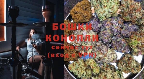 гашик Аркадак