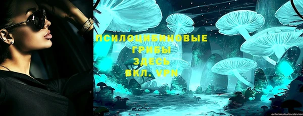 кокс Арсеньев