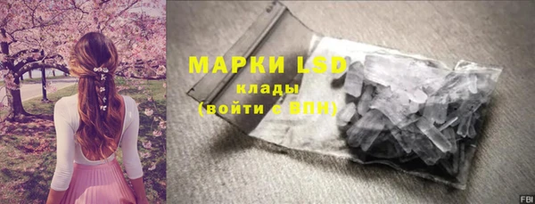 индика Армянск