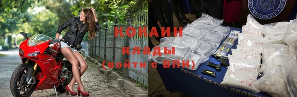гашик Аркадак