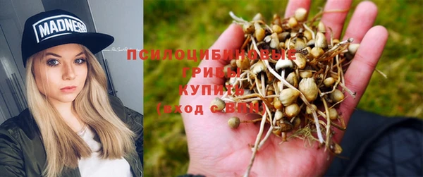индика Армянск