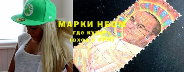 гашик Аркадак