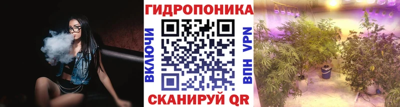 Марихуана семена  OMG онион  Сосновоборск  даркнет сайт 
